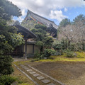 PXL_20260304_012018127.RAW-01.COVER.jpg