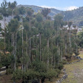 PXL_20260304_012141941.RAW-01.COVER.jpg