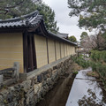 PXL_20260304_014207717.RAW-01.COVER.jpg