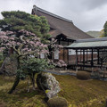 PXL_20260304_014700726.RAW-01.COVER.jpg