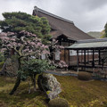 PXL_20260304_014703055.RAW-01.COVER.jpg
