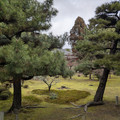 PXL_20260304_014822673.RAW-01.COVER.jpg