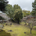PXL_20260304_014855207.RAW-01.COVER.jpg