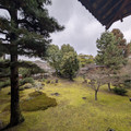 PXL_20260304_014859084.RAW-01.COVER.jpg