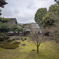 PXL_20260304_014927423.RAW-01.COVER.jpg