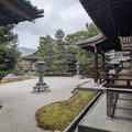 PXL_20260304_015055540.RAW-01.COVER.jpg