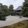 PXL_20260304_015341822.RAW-01.COVER.jpg
