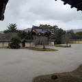 PXL_20260304_015417926.RAW-01.COVER.jpg
