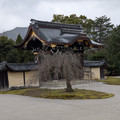 PXL_20260304_015421294.RAW-01.COVER.jpg