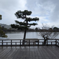 PXL_20260304_015915751.RAW-01.COVER.jpg