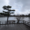 PXL_20260304_015918721.RAW-01.COVER.jpg