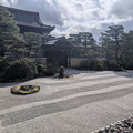 PXL_20260304_053552024.RAW-01.COVER.jpg