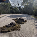 PXL_20260304_053803288.RAW-01.COVER.jpg