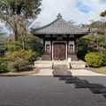 PXL_20260304_054049162.RAW-01.COVER.jpg