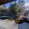 PXL_20260304_055712295.RAW-01.COVER.jpg