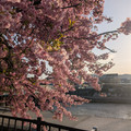 PXL_20260305_221602061.RAW-01.COVER.jpg