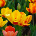 DSC01966.JPG