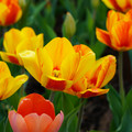 DSC01967.JPG