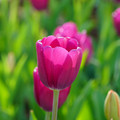 DSC01970.JPG