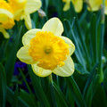 DSC01972.JPG