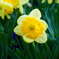 DSC01973.JPG