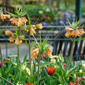 DSC01975.JPG
