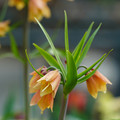 DSC01978.JPG