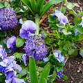 DSC01979.JPG
