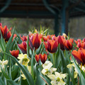 DSC01984.JPG