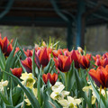 DSC01985.JPG