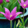 DSC01995.JPG