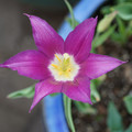 DSC01996.JPG