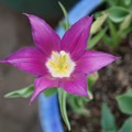 DSC01997.JPG