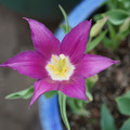 DSC01998.JPG