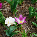 DSC02001.JPG