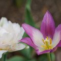DSC02002.JPG