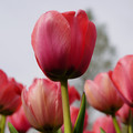 DSC02011.JPG