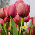 DSC02012.JPG