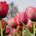 DSC02013.JPG