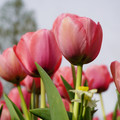 DSC02014.JPG