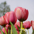 DSC02015.JPG
