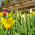 DSC02016.JPG