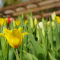DSC02017.JPG