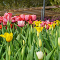 DSC02020.JPG
