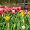 DSC02021.JPG