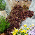 DSC02022.JPG