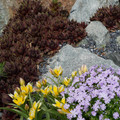 DSC02024.JPG