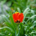 DSC02025.JPG