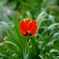 DSC02026.JPG