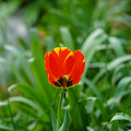 DSC02027.JPG